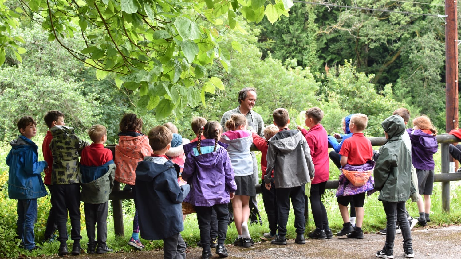 Foraging with Chris Harrod